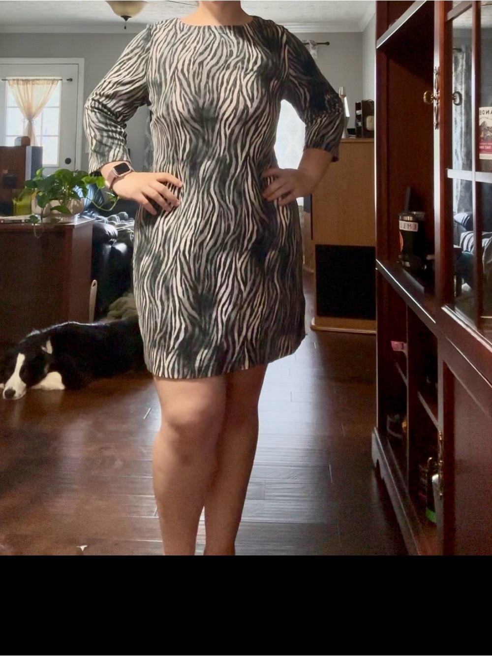 Tommy Bahama Black & White Zebra-Print Mini Shift Dress